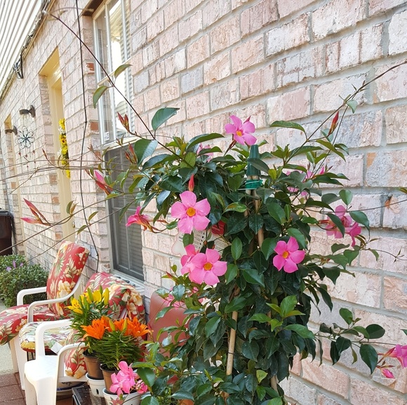 Meet your Posher, Catherine  a - Picture 1 of 1